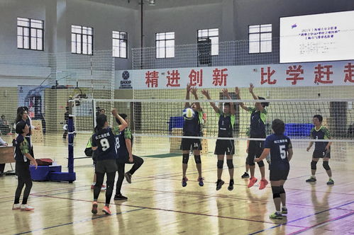 2021年上海城市业余联赛“我要上全运”莘庄工业区杯气排球选拔赛圆满落幕，上海中小企业网络技术服务助力全民健身