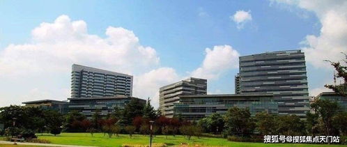 上海普陀北岸长风 数字化转型浪潮下的中小企业网络技术服务新高地